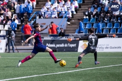 MIC24_FCB_SAR_DS-16
