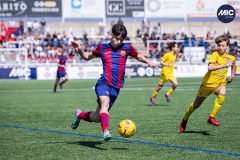 MIC24_FCB_SAR_DS-17