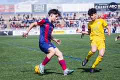 MIC24_FCB_SAR_DS-19
