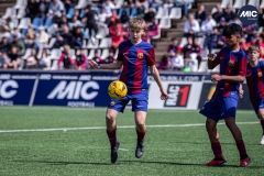 MIC24_FCB_SAR_DS-21