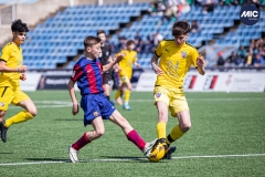 MIC24_FCB_SAR_DS-22