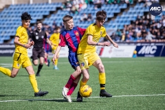 MIC24_FCB_SAR_DS-23