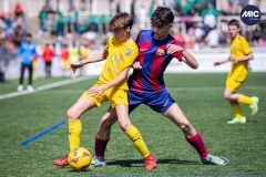 MIC24_FCB_SAR_DS-24