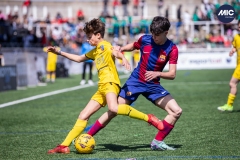 MIC24_FCB_SAR_DS-25