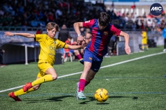 MIC24_FCB_SAR_DS-26