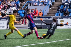 MIC24_FCB_SAR_DS-28