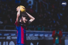 MIC24_FCB_SAR_DS-30