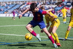 MIC24_FCB_SAR_DS-31