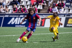 MIC24_FCB_SAR_DS-32