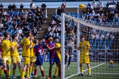 MIC24_FCB_SAR_DS-34