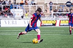 MIC24_FCB_SAR_DS-36