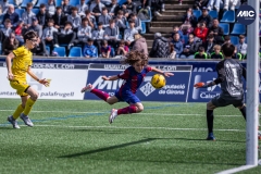 MIC24_FCB_SAR_DS-37