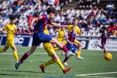 MIC24_FCB_SAR_DS-38