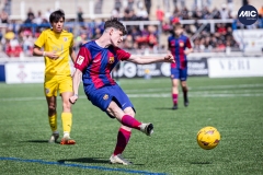 MIC24_FCB_SAR_DS-39