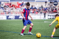 MIC24_FCB_SAR_DS-41
