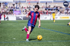 MIC24_FCB_SAR_DS-42