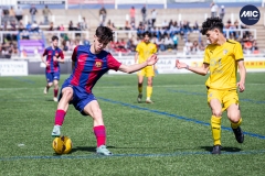 MIC24_FCB_SAR_DS-43