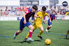 MIC24_FCB_SAR_DS-44