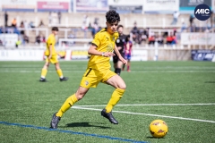 MIC24_FCB_SAR_DS-45
