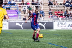 MIC24_FCB_SAR_DS-46