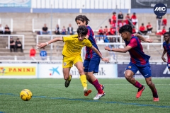 MIC24_FCB_SAR_DS-48