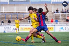 MIC24_FCB_SAR_DS-49