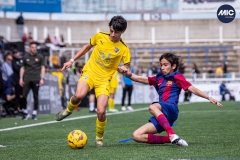 MIC24_FCB_SAR_DS-51