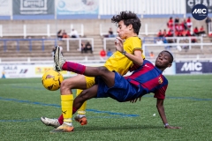 MIC24_FCB_SAR_DS-53