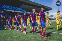 MIC24_FCB_SAR_DS-7