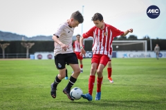 MIC22_U14_FCP_BIS_DS-31