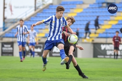 MIC22_U14_PTO_VIC_DS-19