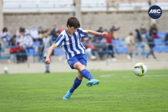MIC22_U14_PTO_VIC_DS-25