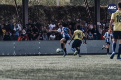 MIC22_U14_ESP_UEQ_DM-11