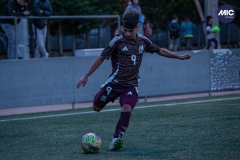 MIC24_U14_MEX_H8S_DS-10