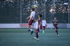 MIC24_U14_MEX_H8S_DS-19