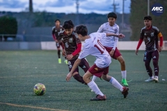 MIC24_U14_MEX_H8S_DS-36