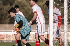 Torneig Nord 2023