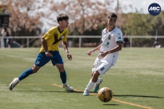 Torneig Nord 2023