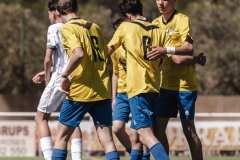 Torneig Nord 2023