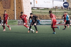 MIC22_U15_FCR_PAL_DM-12