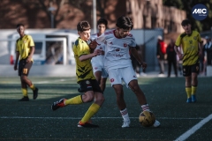 Torneig Nord 2023