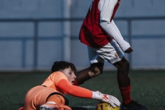 Torneig Nord 2023