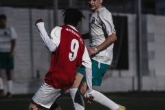 Torneig Nord 2023