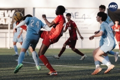 Torneig Nord 2023