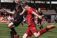Torneig Nord 2023
