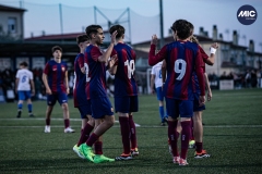 MIC24_U16_FCB_GIM_DS-24