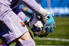 MIC26_DIUMENGE_ROM_FCB-30