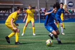 MIC24_U16_FFC_SAR_DS-8