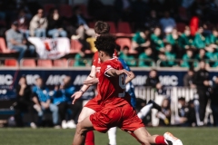 Torneig Nord 2023
