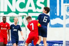 MIC22_U16_LIVER_APFC_AF_012